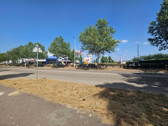 Negócio para Venda em Castelo Branco Foto 6