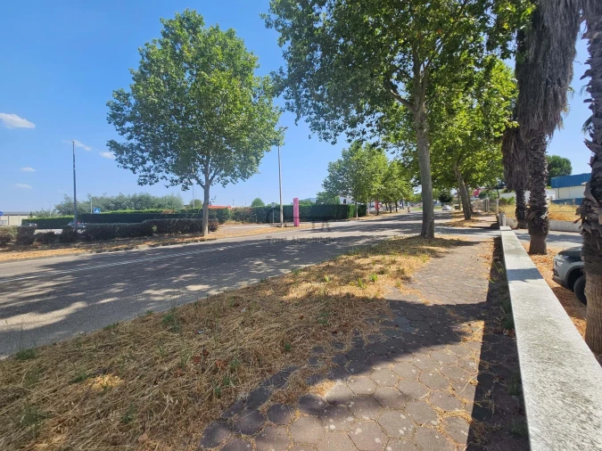 Negócio para Venda em Castelo Branco Foto 7