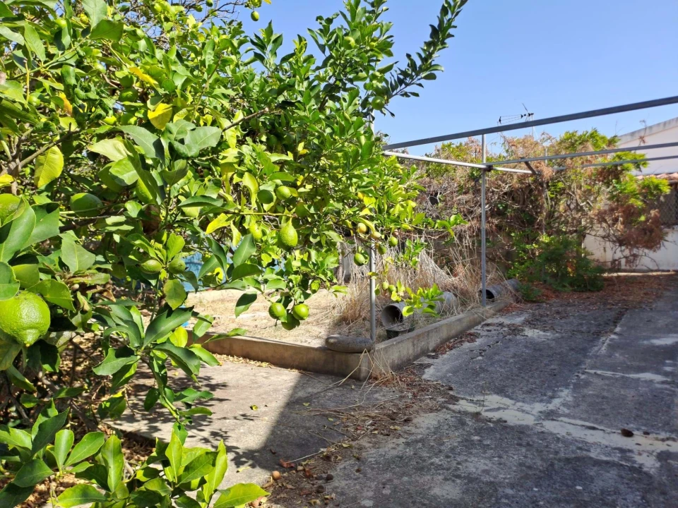 Terreno para Venda em Quinta do Conde Foto 7