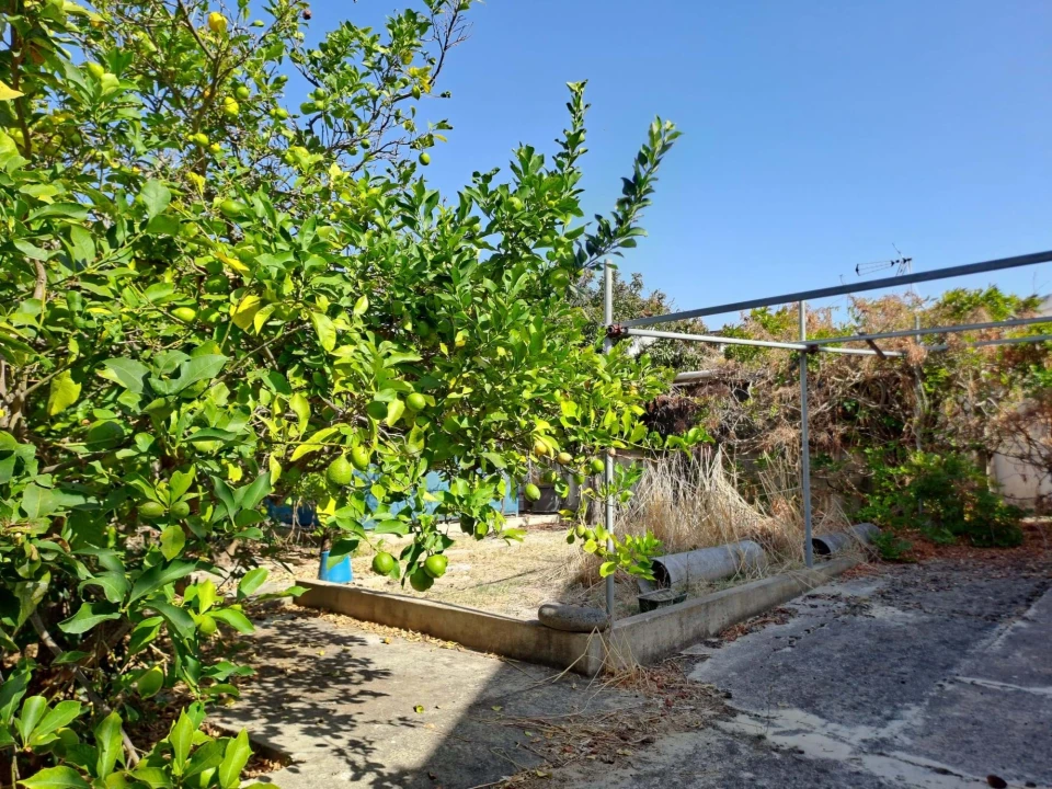 Terreno para Venda em Quinta do Conde Foto 6