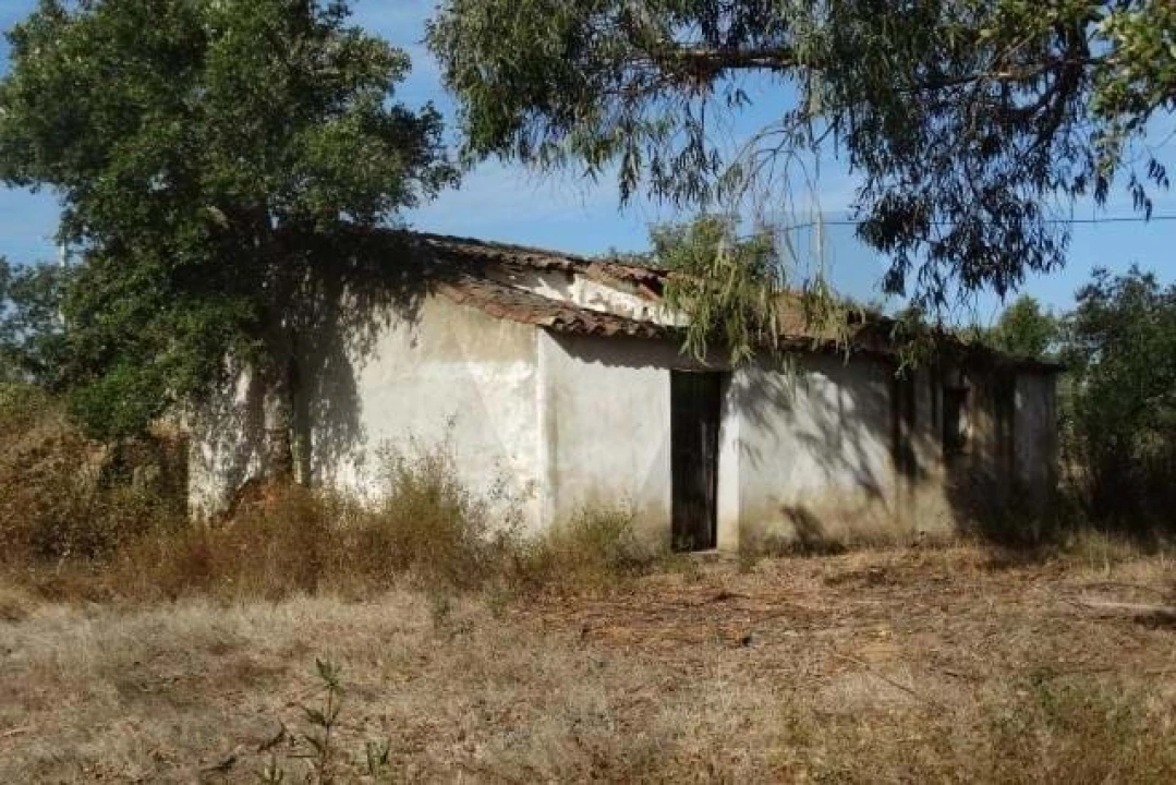 Terreno para Venda em Ourique Foto 7