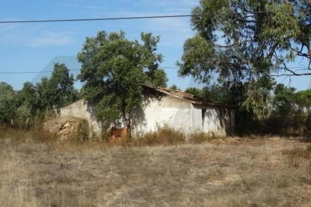 Terreno para Venda em Ourique Foto 8