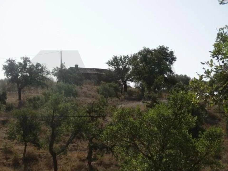 Terreno para Venda em Ourique Foto 5