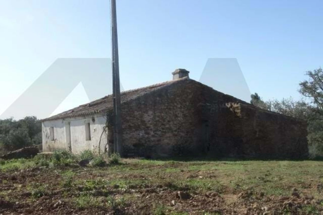 Terreno para Venda em Ourique Foto 3