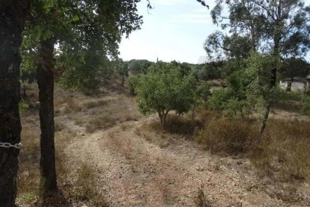 Terreno para Venda em Ourique Foto 16