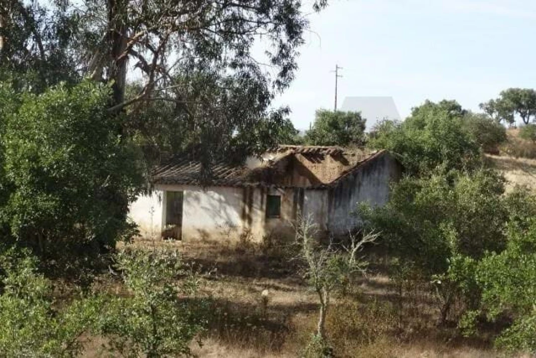 Terreno para Venda em Ourique Foto 9