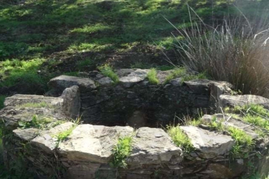 Terreno para Venda em Ourique Foto 12