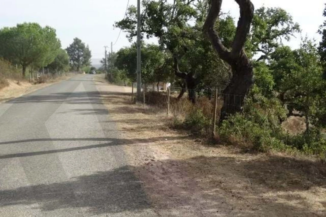 Terreno para Venda em Ourique Foto 17