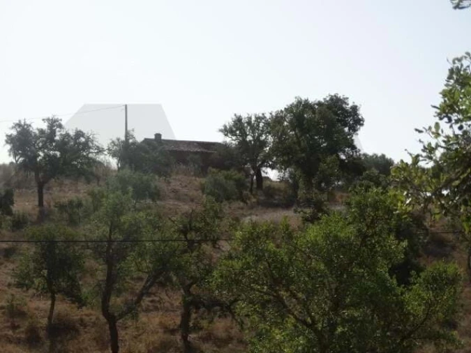 Terreno para Venda em Ourique Foto 6