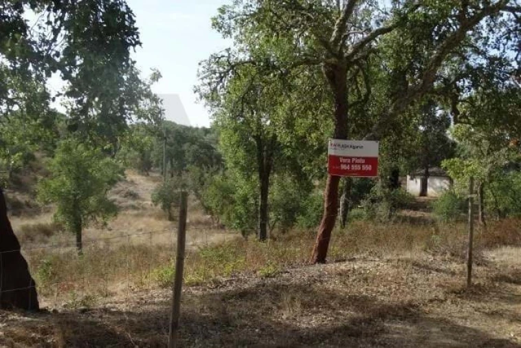 Terreno para Venda em Ourique Foto 15