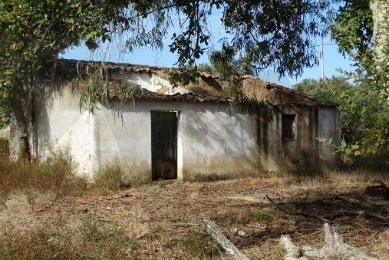 Terreno para Venda em Ourique Foto 7