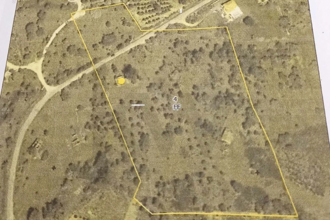 Terreno para Venda em Ourique Foto 18