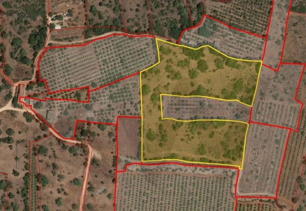 Terreno para Venda em Silves Foto 3