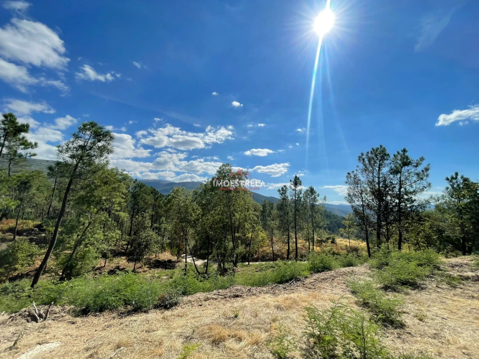 Terreno para Venda em Seia, São Romão e Lapa dos Dinheiros Foto 3