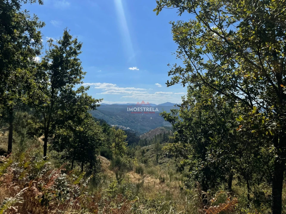 Terreno para Venda em Seia, São Romão e Lapa dos Dinheiros Foto 10
