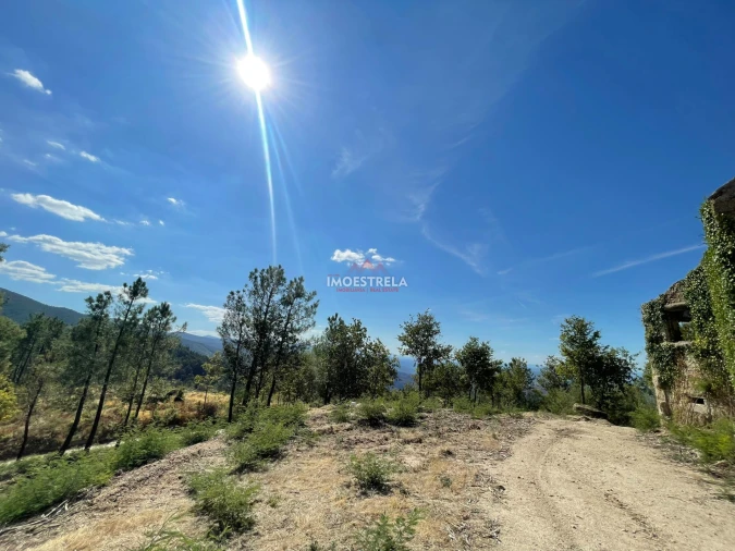 Terreno para Venda em Seia, São Romão e Lapa dos Dinheiros Foto 5