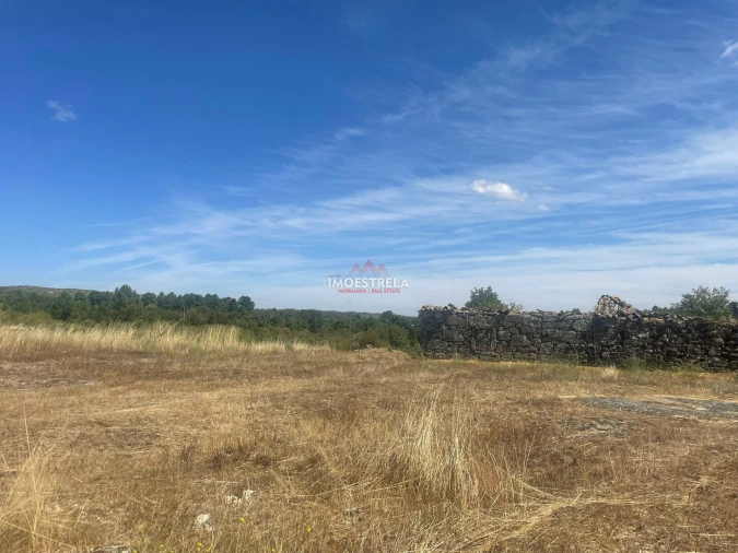 Quinta T4 para Venda em Agregação das Freguesias Sul de Pinhel Foto 2