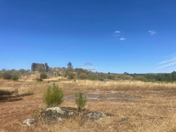 Quinta T4 para Venda em Agregação das Freguesias Sul de Pinhel Foto 3