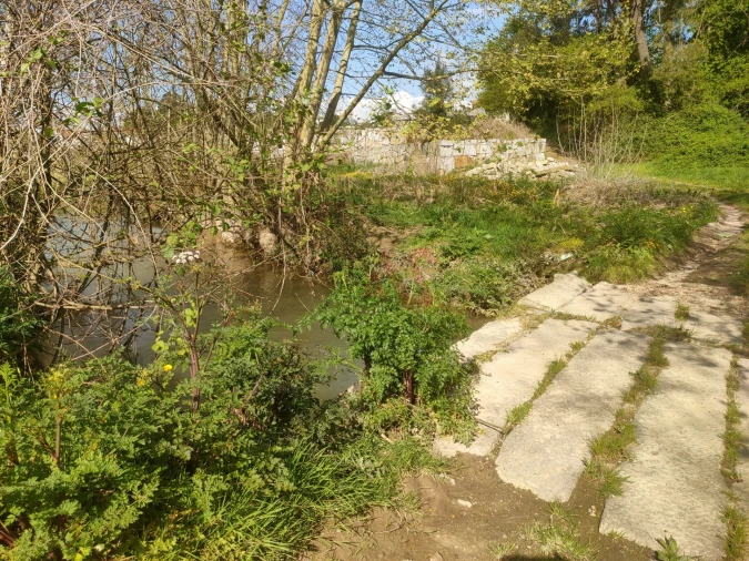 Terreno Agricola ou Rústico para Venda em Nevogilde Foto 6