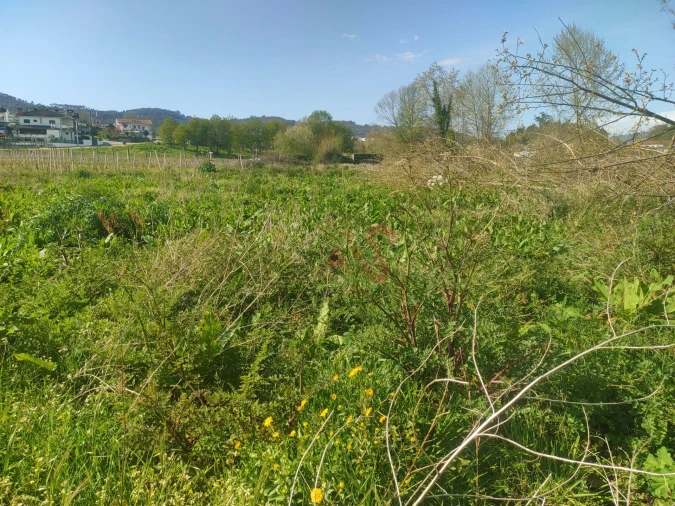 Terreno Agricola ou Rústico para Venda em Nevogilde Foto 5