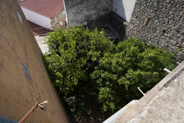 Moradia T9 para Venda em Idanha-A-Nova e Alcafozes Foto 58