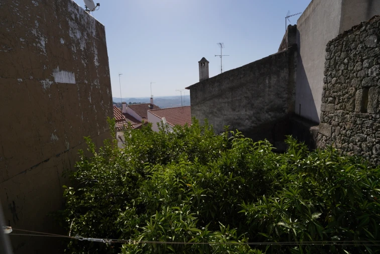 Moradia T9 para Venda em Idanha-A-Nova e Alcafozes Foto 22