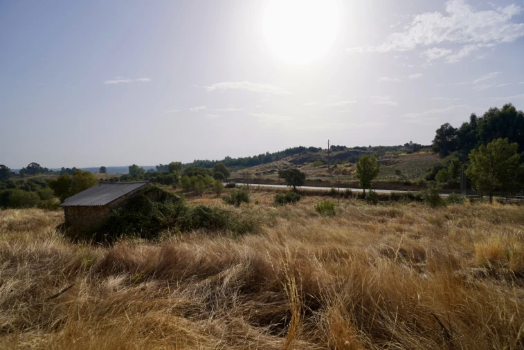 Quinta T0 para Venda em São Miguel de Acha Foto 18