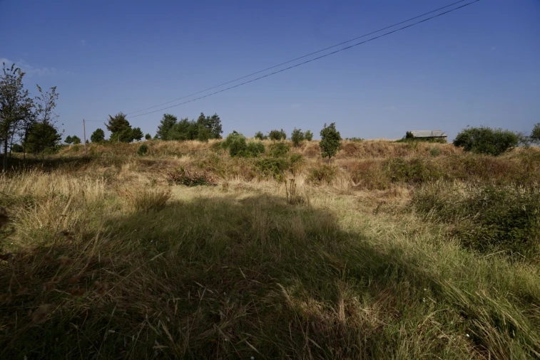 Quinta T0 para Venda em São Miguel de Acha Foto 34