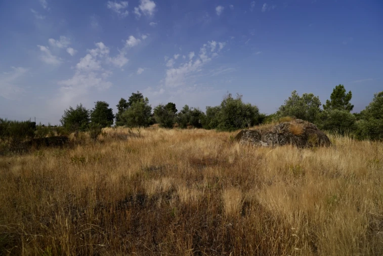 Quinta T0 para Venda em São Miguel de Acha Foto 19