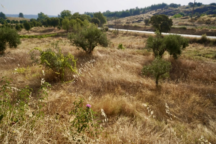 Quinta T0 para Venda em São Miguel de Acha Foto 23