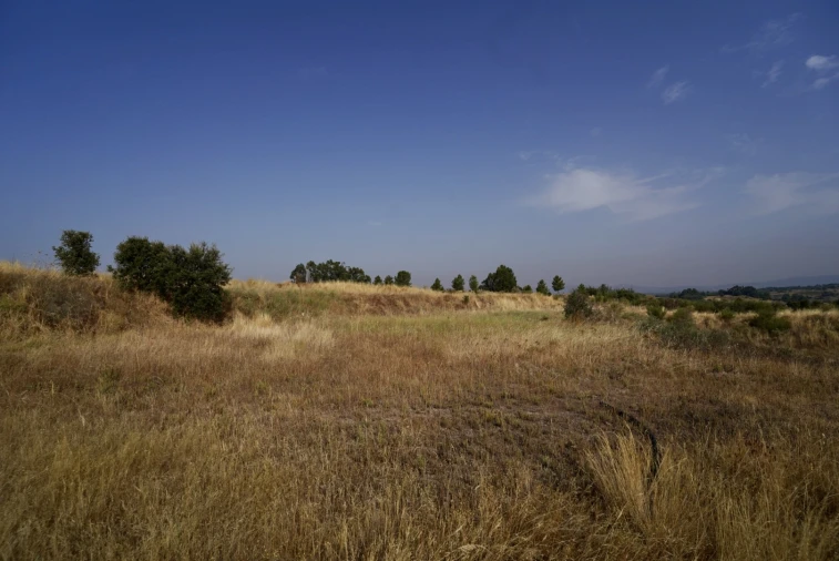 Quinta T0 para Venda em São Miguel de Acha Foto 29