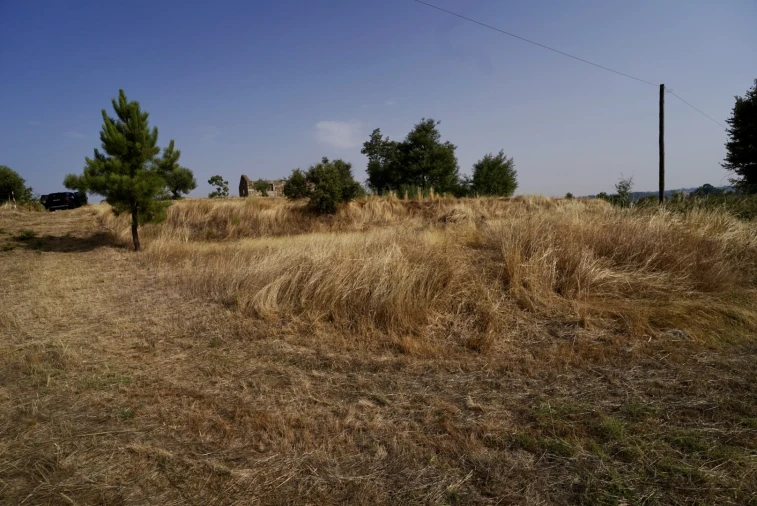 Quinta T0 para Venda em São Miguel de Acha Foto 37
