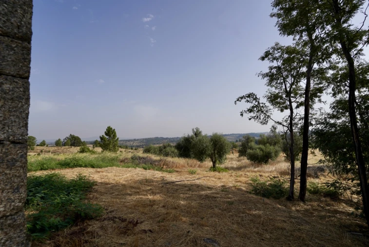 Quinta T0 para Venda em São Miguel de Acha Foto 10