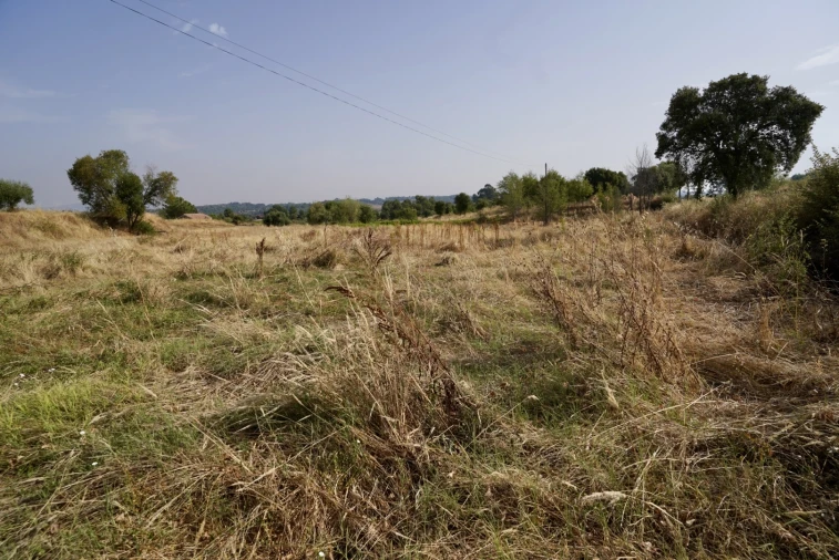 Quinta T0 para Venda em São Miguel de Acha Foto 35