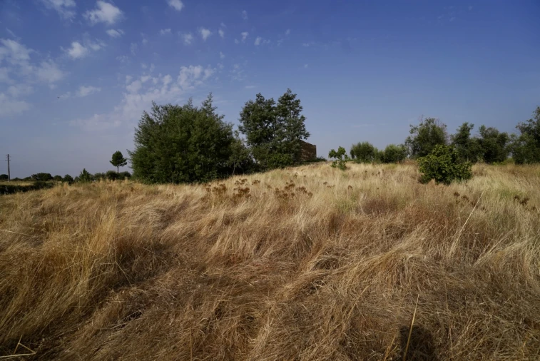 Quinta T0 para Venda em São Miguel de Acha Foto 16