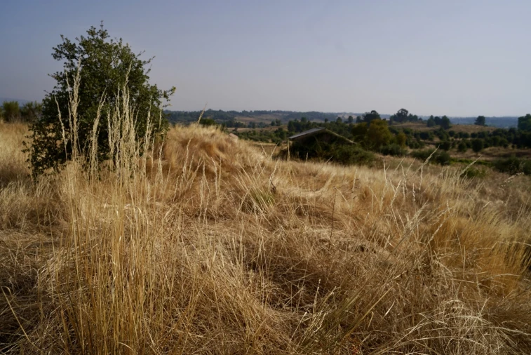 Quinta T0 para Venda em São Miguel de Acha Foto 15