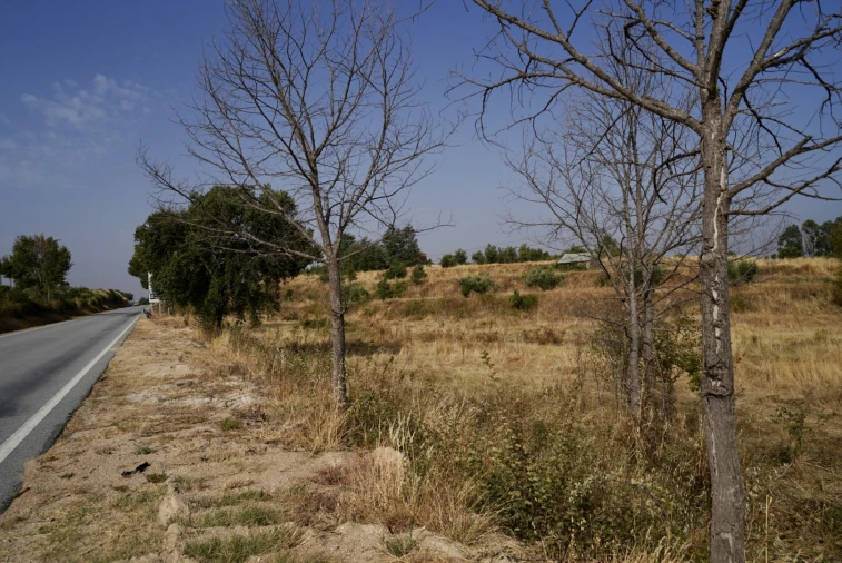 Quinta T0 para Venda em São Miguel de Acha Foto 36