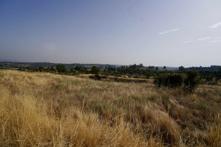 Quinta T0 para Venda em São Miguel de Acha Foto 20