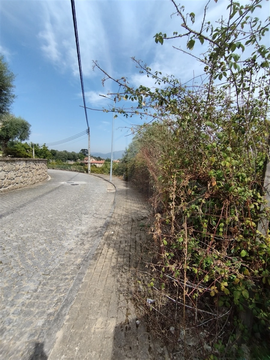 Terreno para Venda em Santa Lucrécia de Algeriz e Navarra Foto 5