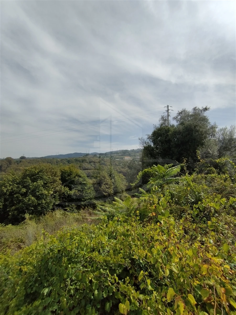 Terreno para Venda em Santa Lucrécia de Algeriz e Navarra Foto 6