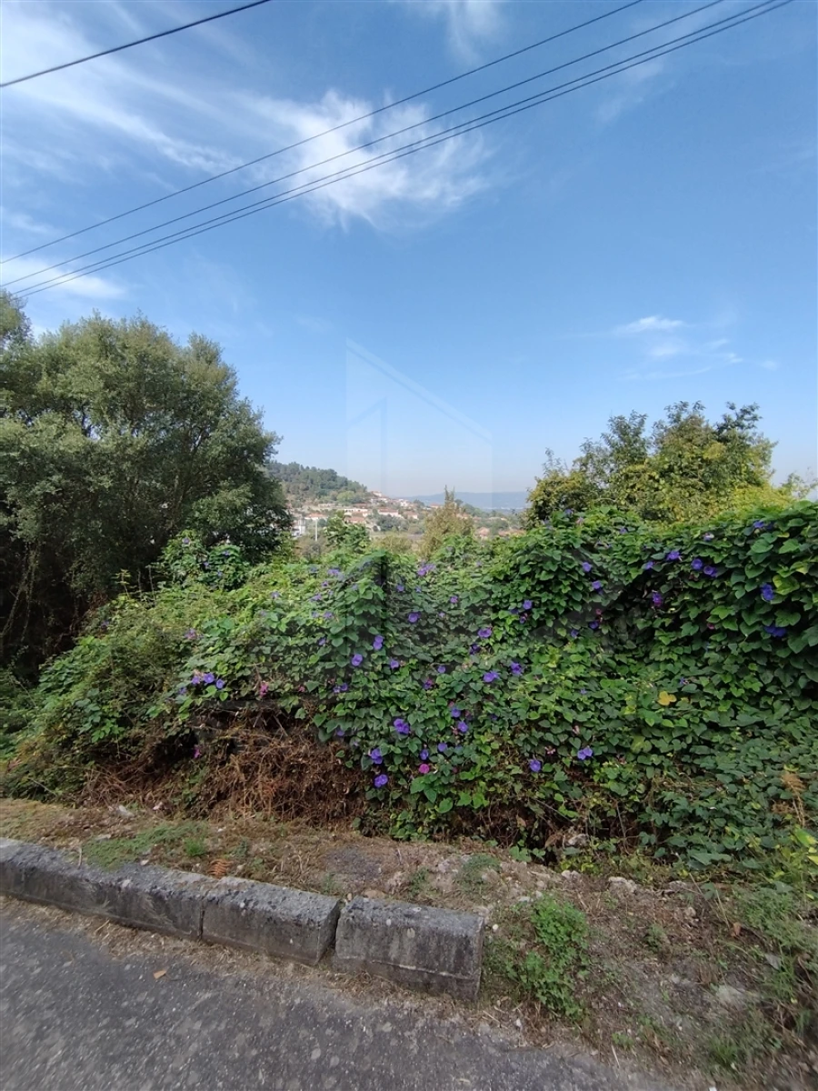 Terreno para Venda em Santa Lucrécia de Algeriz e Navarra Foto 13