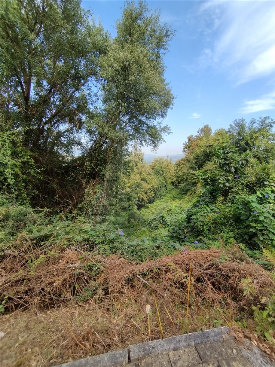 Terreno para Venda em Santa Lucrécia de Algeriz e Navarra Foto 10