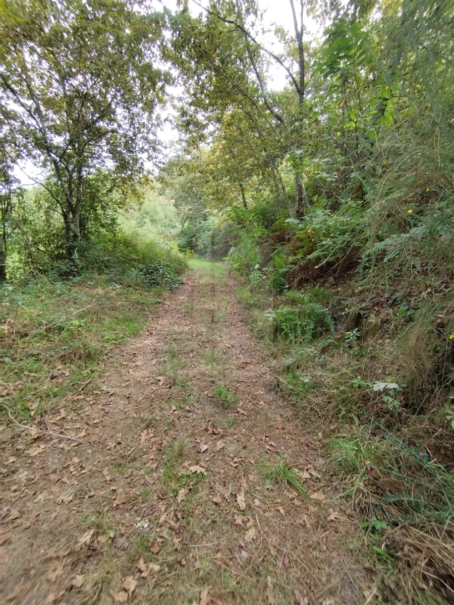 Terreno para Venda em Santa Lucrécia de Algeriz e Navarra Foto 5