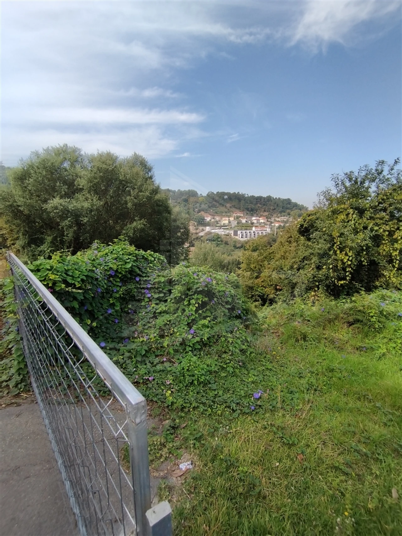Terreno para Venda em Santa Lucrécia de Algeriz e Navarra Foto 11