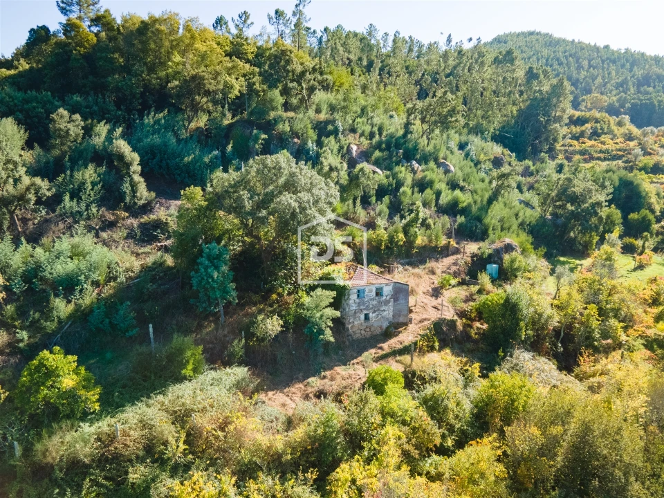 Moradia T7 para Venda em Santa Maria de Sardoura Foto 34