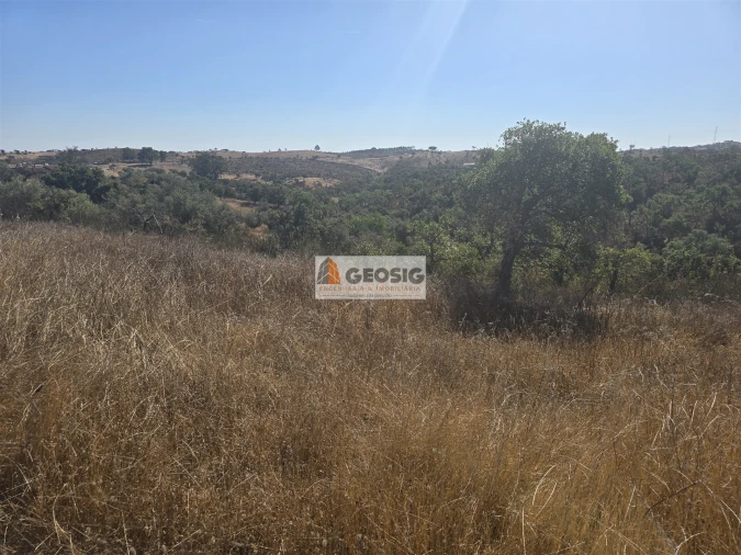 Quinta T3 para Venda em Santa Clara-A-Nova e Gomes Aires Foto 25