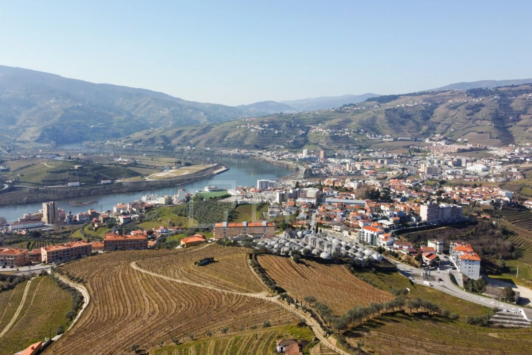 Quinta T4 para Venda em Peso da Régua e Godim Foto 6