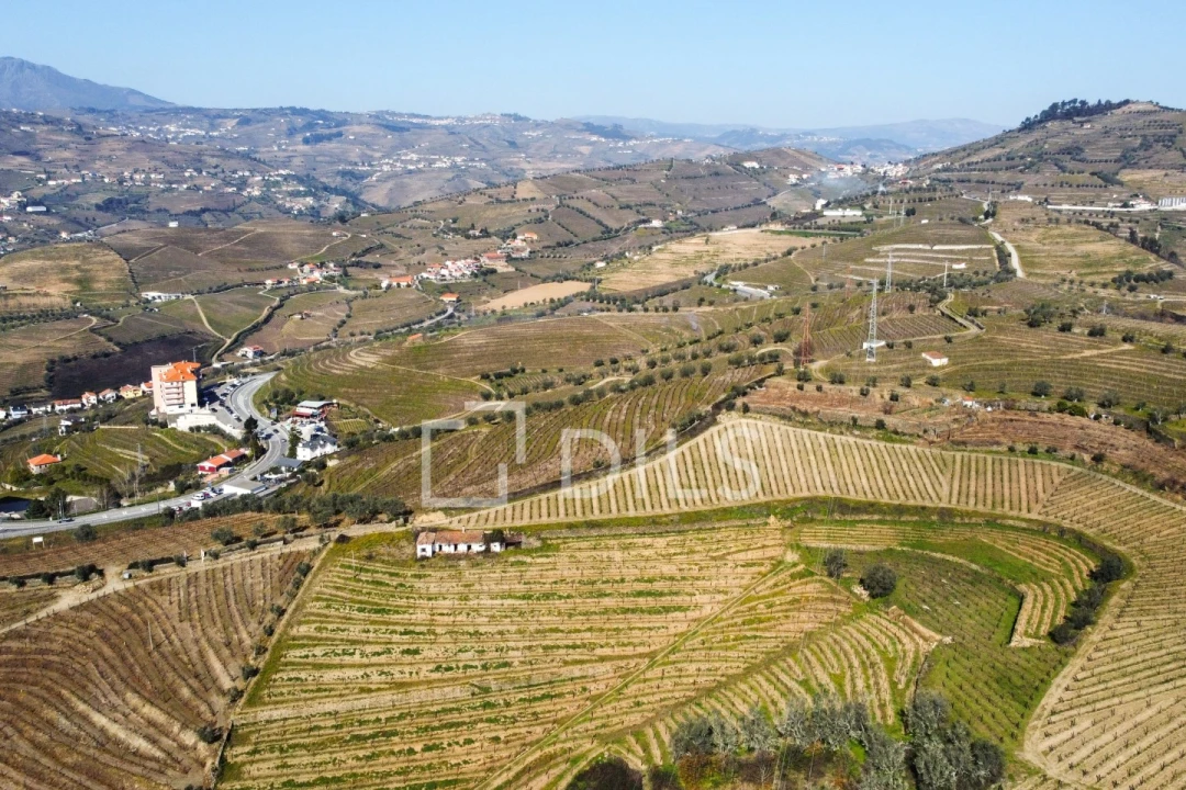 Quinta T4 para Venda em Peso da Régua e Godim Foto 9