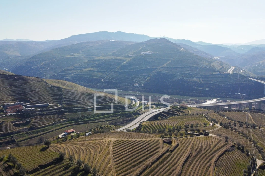 Quinta T4 para Venda em Peso da Régua e Godim Foto 10