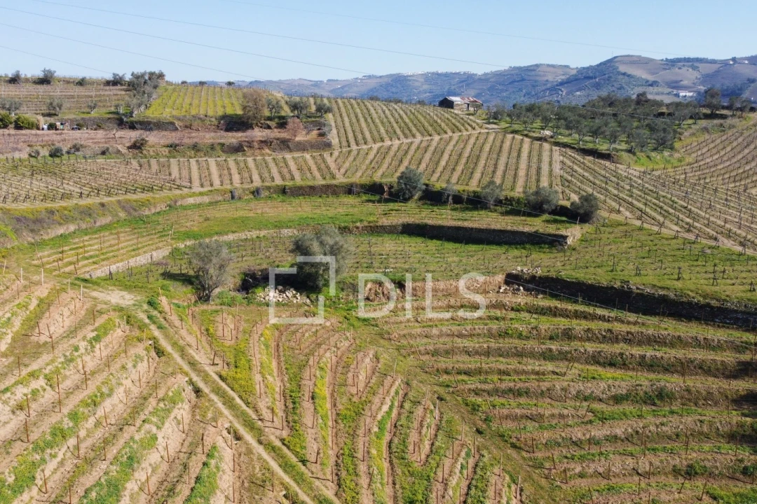 Quinta T4 para Venda em Peso da Régua e Godim Foto 12